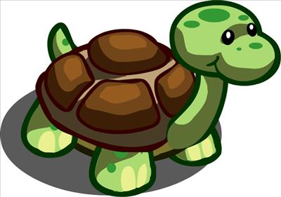 Turtle