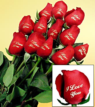 i love you roses