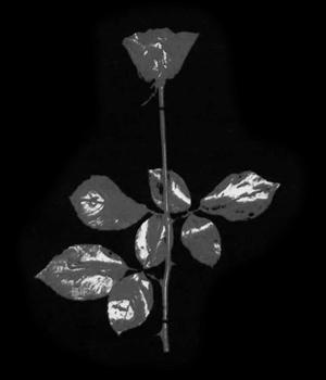 \"Violator Rose (Dark Grey)\"