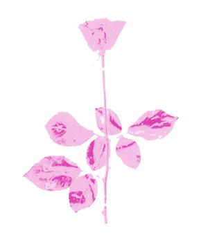 \"Violator Rose (Light Pink)\"