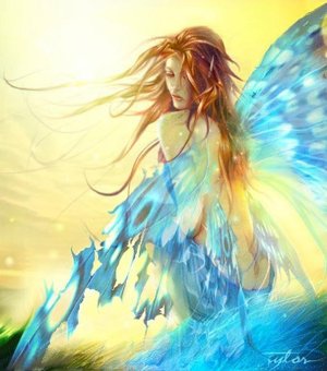 Fairy