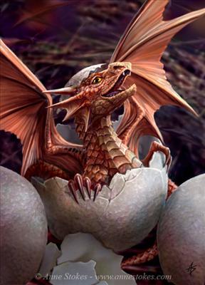 Baby Dragon