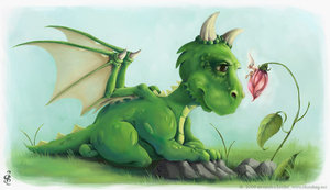 Dragon Flower