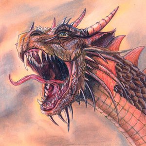 Angry Dragon