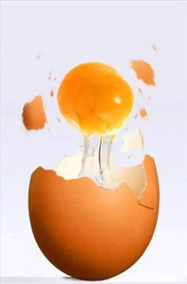 Oeuf pourri
