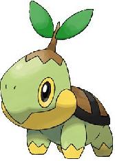 Turtwig