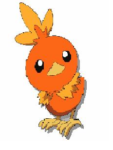 Torchic