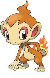 Chimchar