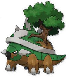 Torrterra