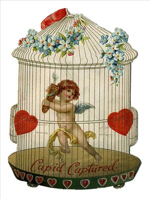 Cupid captured