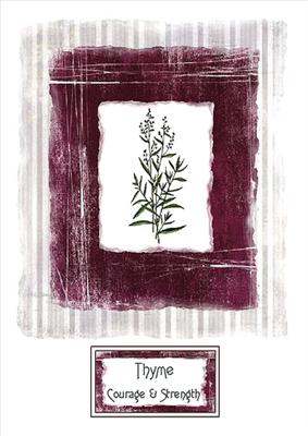 Thyme