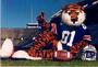 auburn