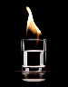 Shot