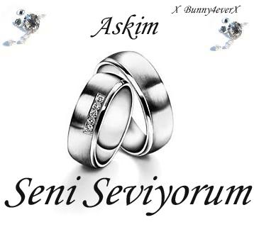 Seni Seviyorum