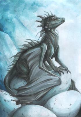 Baby Dragon