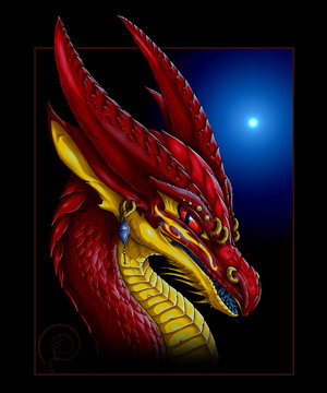 Dragon Wish