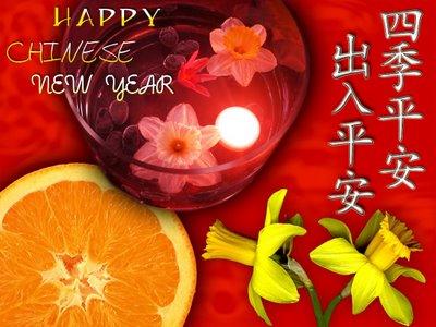 Card13