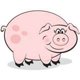 pig
