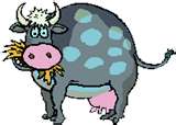 fat cow