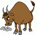Bull