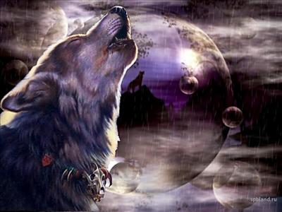 Good Night