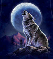 Sweet Dreams