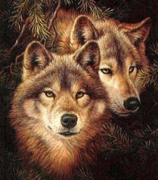 Best Friends