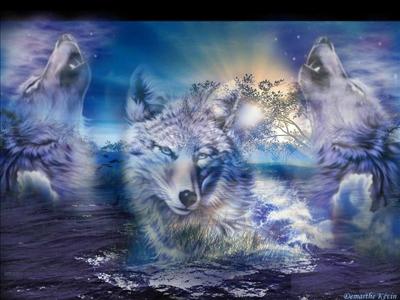 Dream