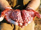 buffalo brains