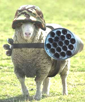 baaaad sheep