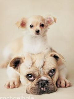 Friends4Life
