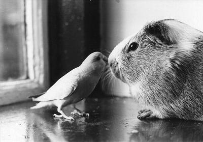 TrueFriendship