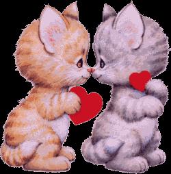 Kitty Love