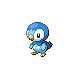 Piplup