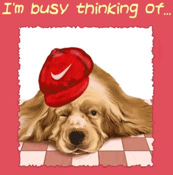 dog