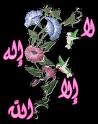 لا اله الا الله 