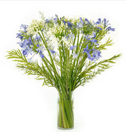 Good Day Flowers.