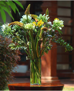 Good Afternoon Flowers.