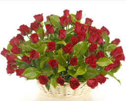 Tuesday Flowers.