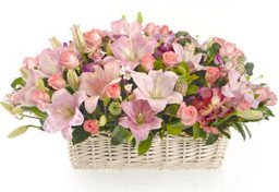 Monday Flowers.