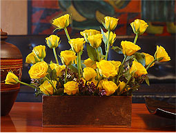 Radiant Roses