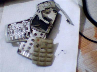 salak