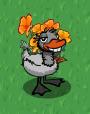 Pretty duckling