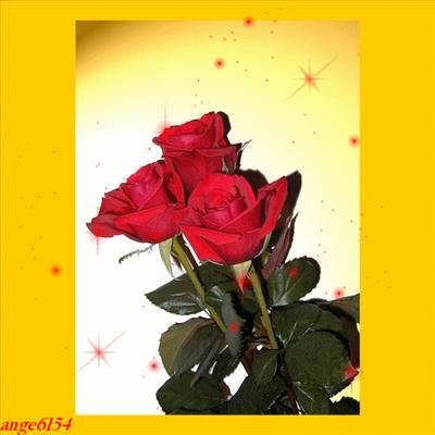 cadeaux rose