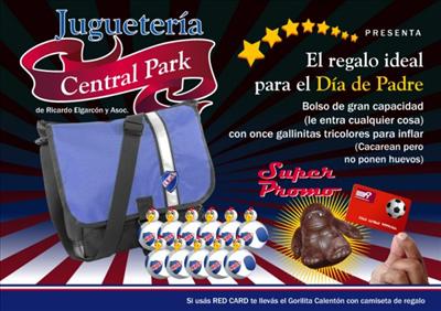 bolso