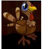 bayb turkey
