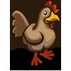 brawn chicken