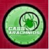 cass arachnids