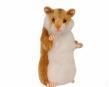Hamster