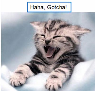 Haha Gotcha!